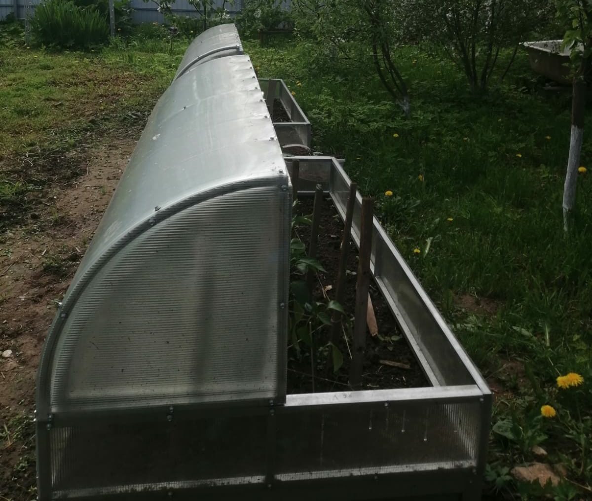 IMG-20220701-WA0011